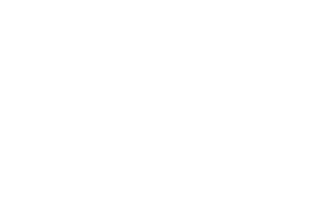 Prohotel logo